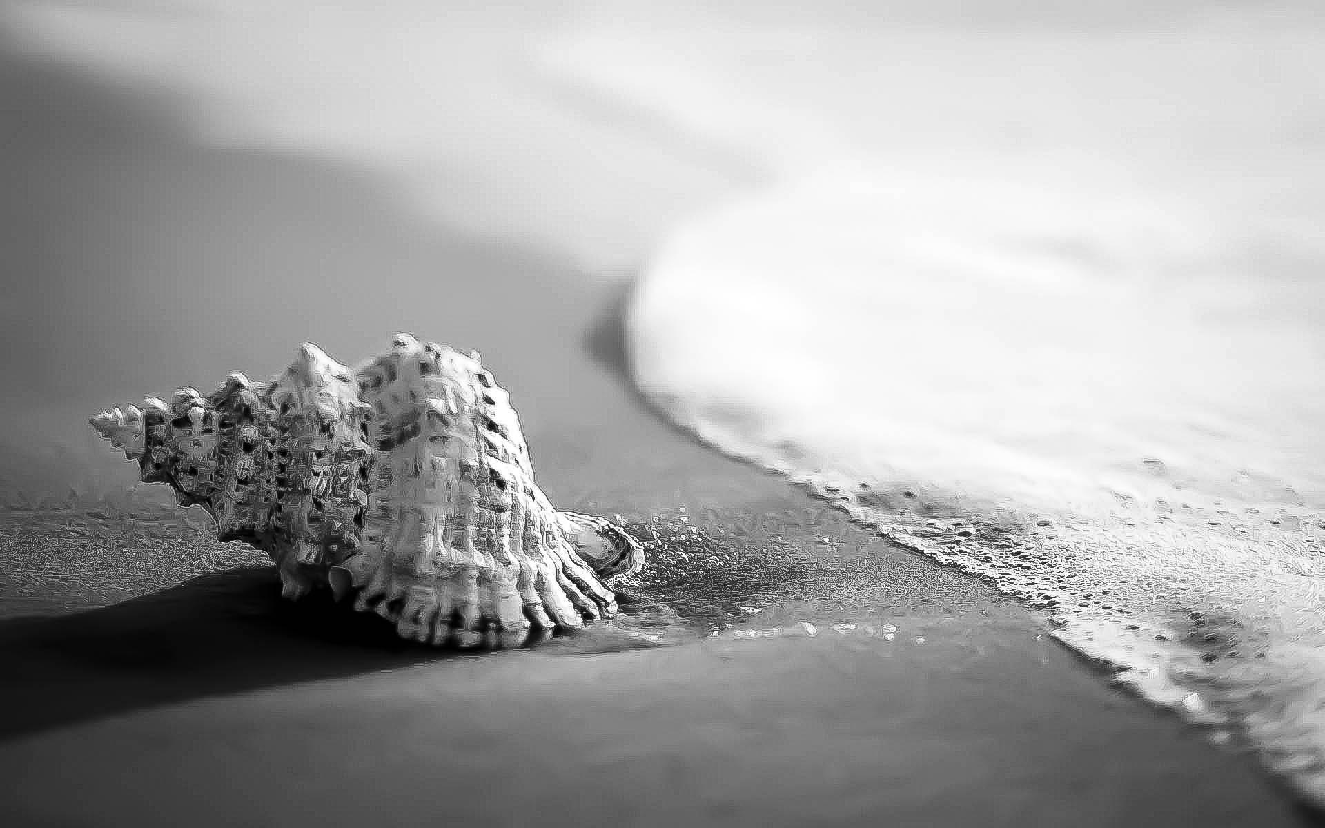 Terms and Conditions Amanzi Guest Homes